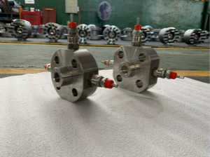 Double Block and Bleed Valve